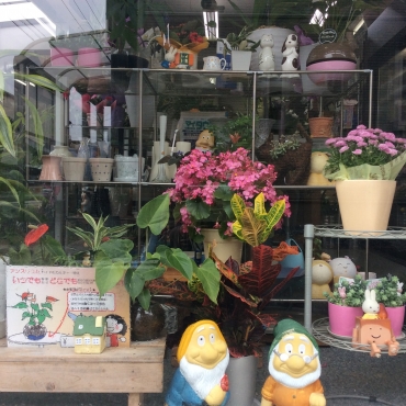 「カワセ生花店」　（岐阜県揖斐郡揖斐川町）の花屋店舗写真3